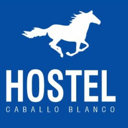 Cartagena Hostel Caballo Blanco מראה חיצוני תמונה