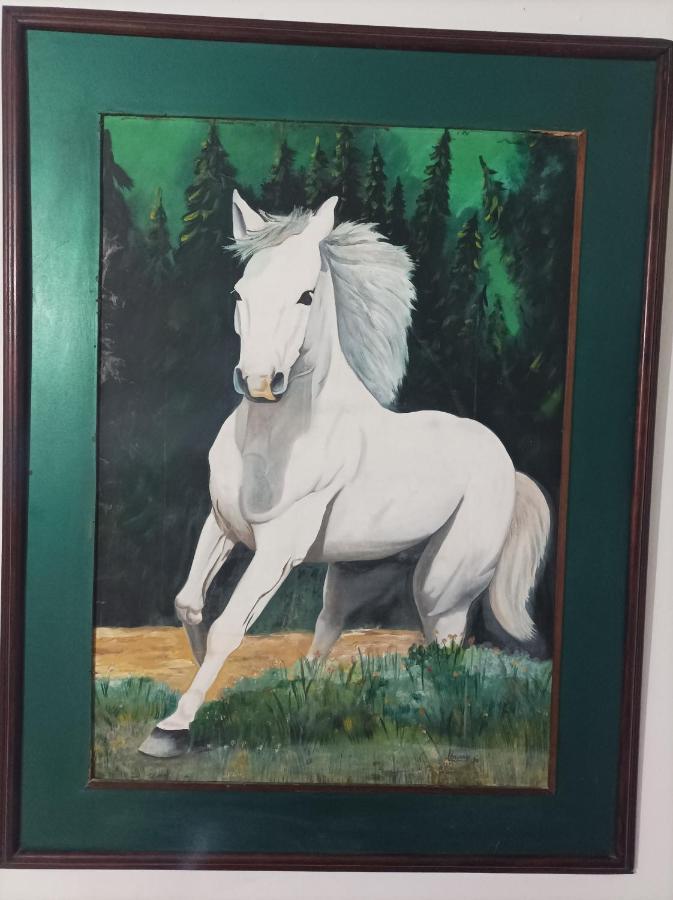 Cartagena Hostel Caballo Blanco מראה חיצוני תמונה